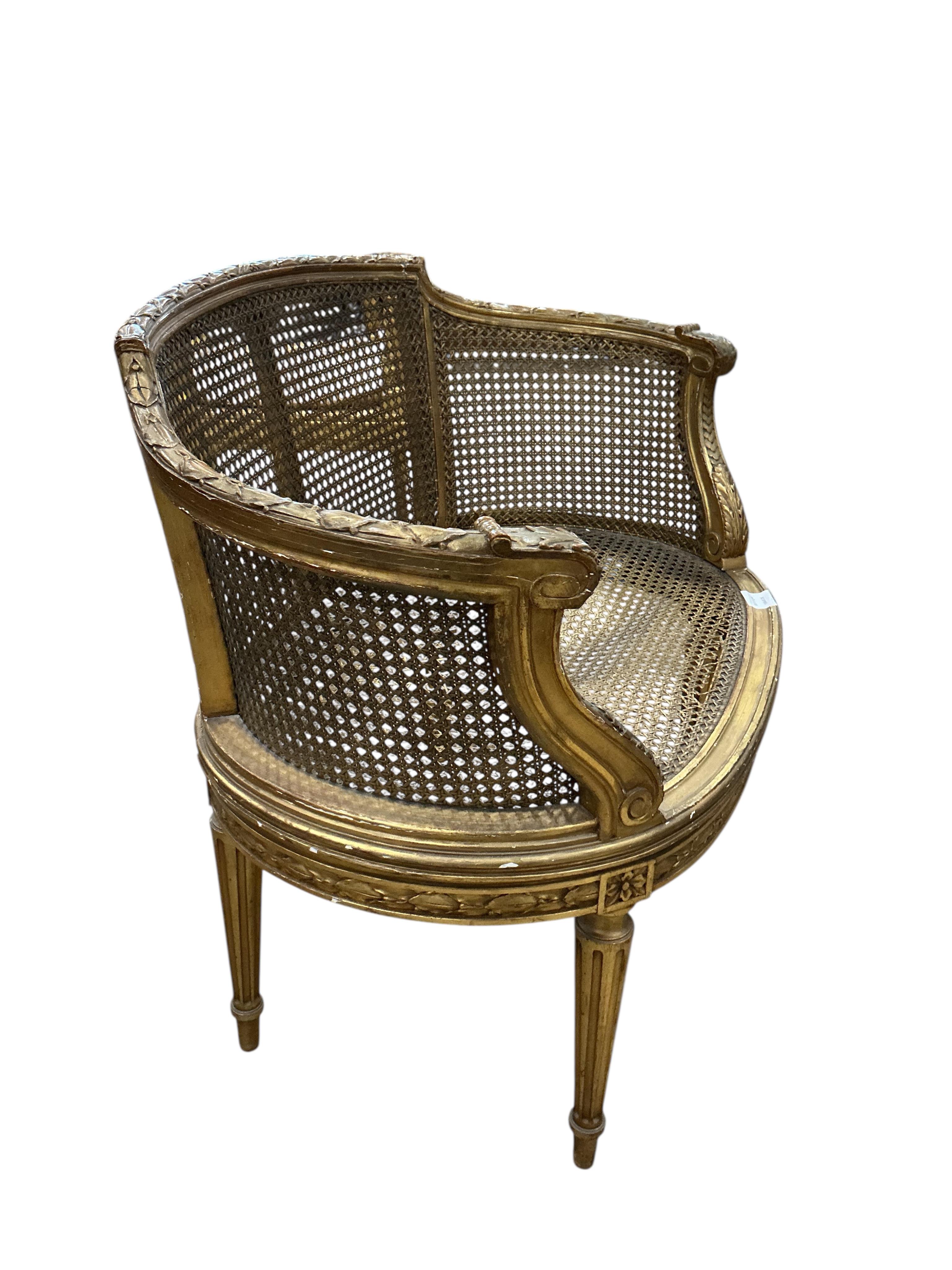 A late 19th century French caned giltwood tub chair, width 77cm, depth 50cm, height 71cm